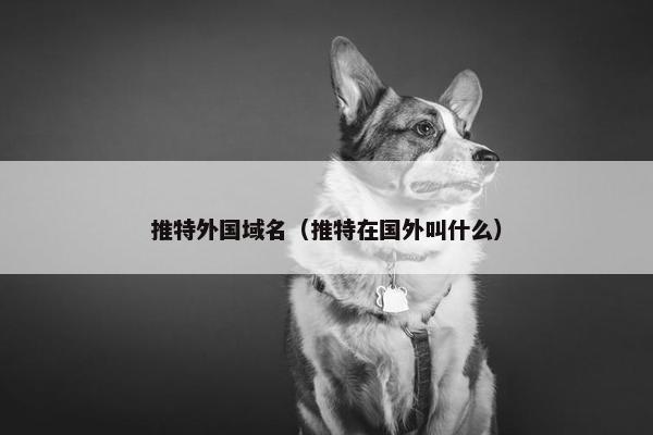 推特外国域名（推特在国外叫什么）
