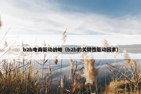 b2b电商驱动战略（b2b的关键性驱动因素）