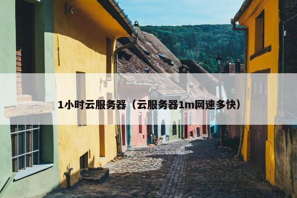 1小时云服务器（云服务器1m网速多快）