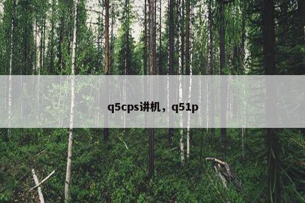 q5cps讲机，q51p