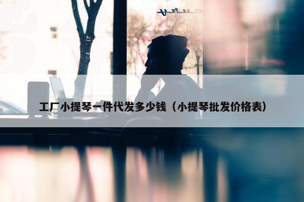 工厂小提琴一件代发多少钱（小提琴批发价格表）