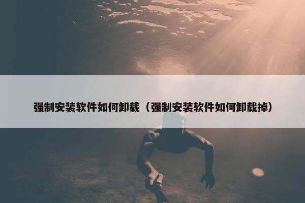 强制安装软件如何卸载（强制安装软件如何卸载掉）