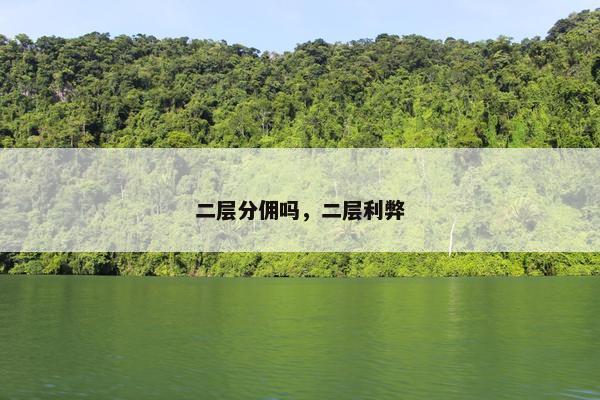 二层分佣吗，二层利弊
