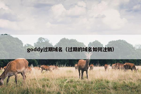 goddy过期域名（过期的域名如何注销）