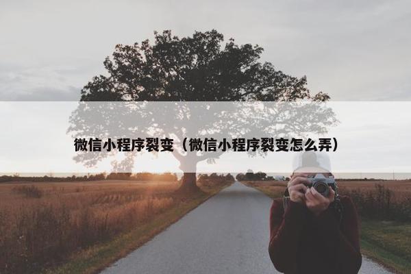 微信小程序裂变（微信小程序裂变怎么弄）