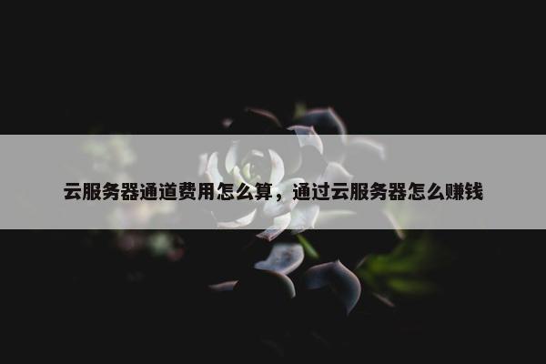 云服务器通道费用怎么算，通过云服务器怎么赚钱