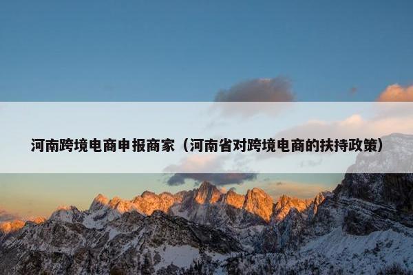 河南跨境电商申报商家（河南省对跨境电商的扶持政策）