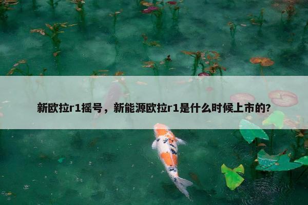 新欧拉r1摇号，新能源欧拉r1是什么时候上市的?