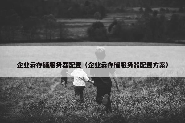 企业云存储服务器配置（企业云存储服务器配置方案）