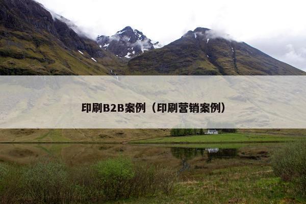 印刷B2B案例（印刷营销案例）