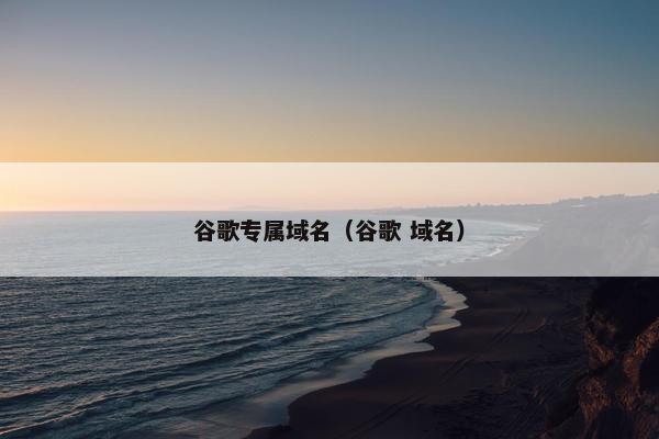 谷歌专属域名（谷歌 域名）