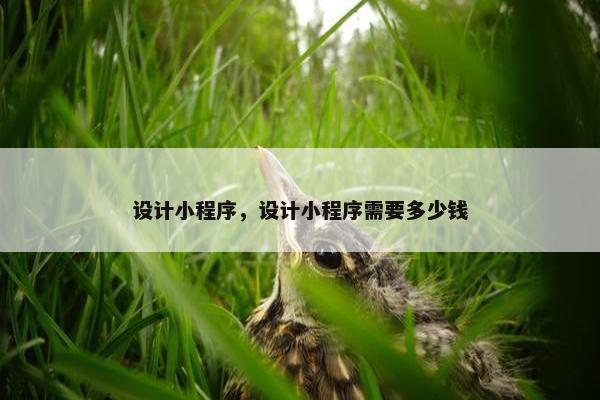 设计小程序，设计小程序需要多少钱