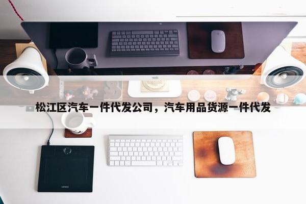 松江区汽车一件代发公司，汽车用品货源一件代发