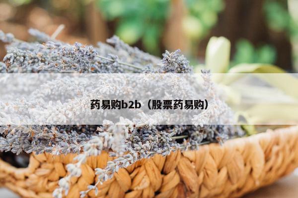 药易购b2b（股票药易购）