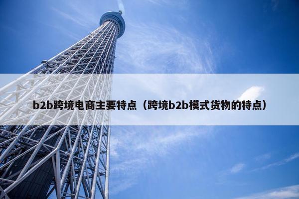 b2b跨境电商主要特点（跨境b2b模式货物的特点）