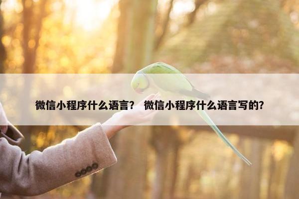 微信小程序什么语言？ 微信小程序什么语言写的？