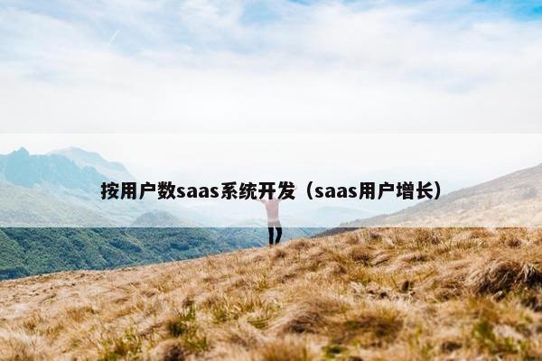 按用户数saas系统开发（saas用户增长）