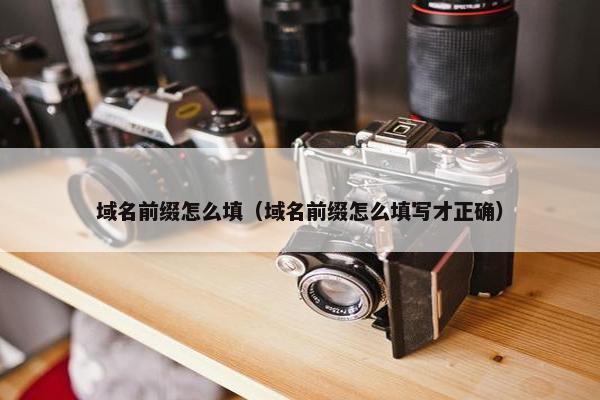 域名前缀怎么填（域名前缀怎么填写才正确）