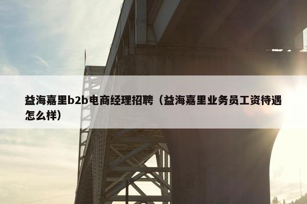 益海嘉里b2b电商经理招聘（益海嘉里业务员工资待遇怎么样）