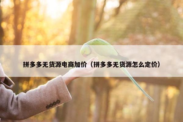 拼多多无货源电商加价（拼多多无货源怎么定价）