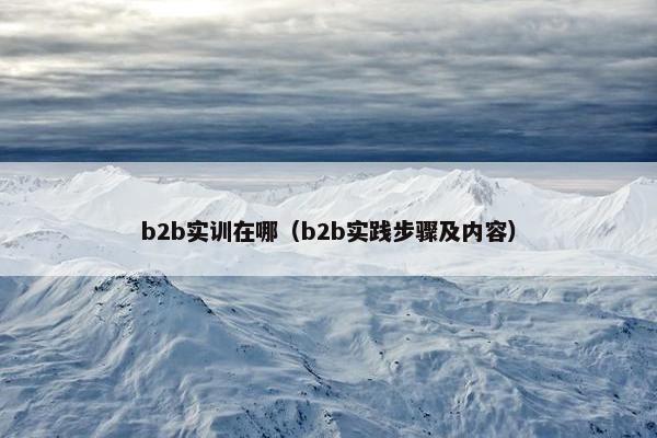 b2b实训在哪（b2b实践步骤及内容）