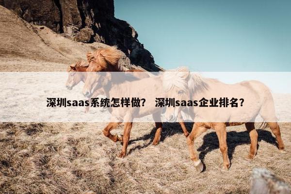 深圳saas系统怎样做？ 深圳saas企业排名？