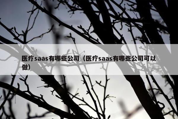 医疗saas有哪些公司（医疗saas有哪些公司可以做）