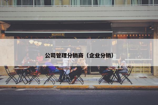 公司管理分销商（企业分销）