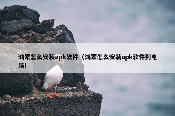 鸿蒙怎么安装apk软件（鸿蒙怎么安装apk软件到电脑）