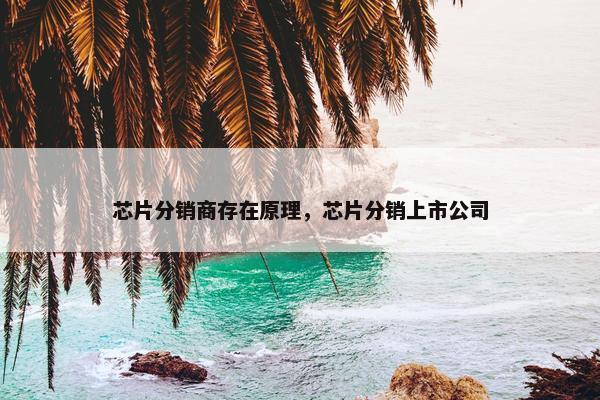 芯片分销商存在原理，芯片分销上市公司