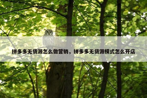 拼多多无货源怎么做营销，拼多多无货源模式怎么开店