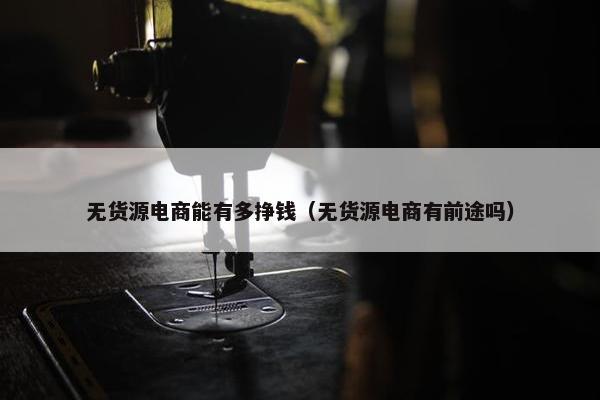 无货源电商能有多挣钱（无货源电商有前途吗）