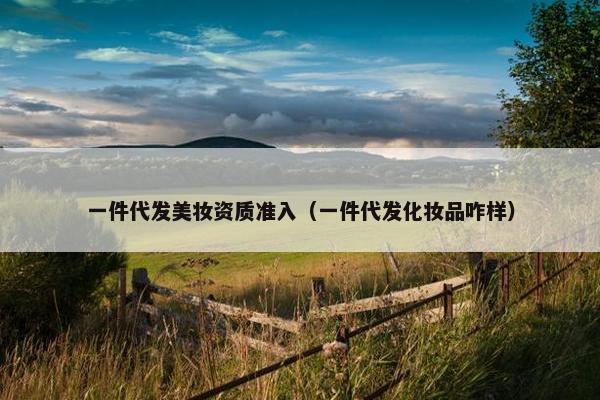 一件代发美妆资质准入（一件代发化妆品咋样）