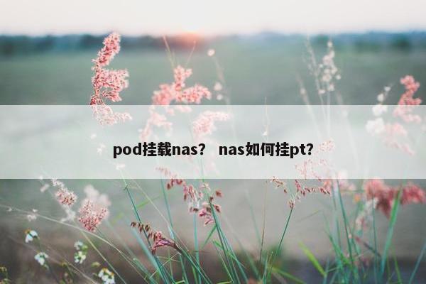 pod挂载nas？ nas如何挂pt？