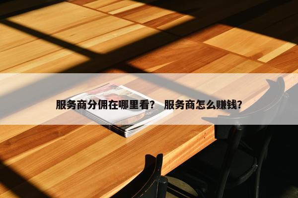 服务商分佣在哪里看？ 服务商怎么赚钱？