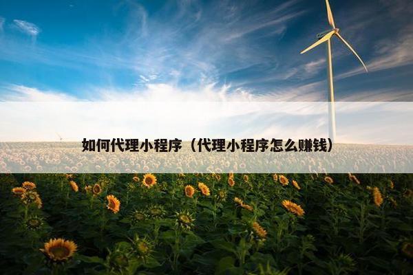 如何代理小程序（代理小程序怎么赚钱）