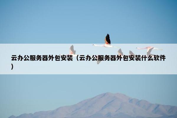 云办公服务器外包安装（云办公服务器外包安装什么软件）