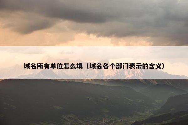 域名所有单位怎么填（域名各个部门表示的含义）