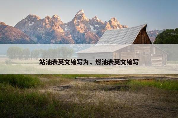 站油表英文缩写为，燃油表英文缩写