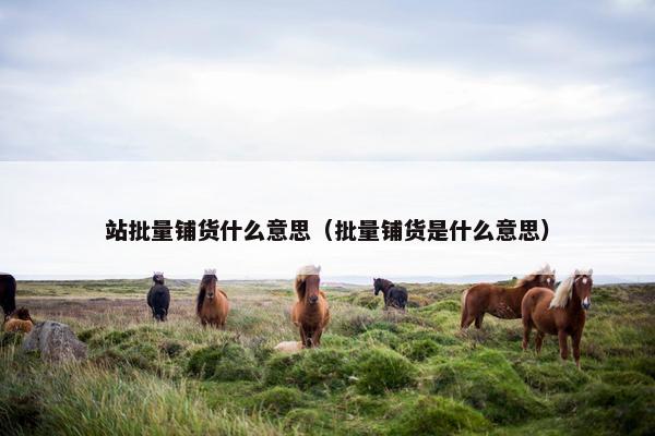 站批量铺货什么意思（批量铺货是什么意思）