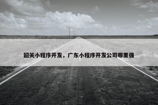 韶关小程序开发，广东小程序开发公司哪里强