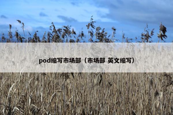 pod缩写市场部（市场部 英文缩写）