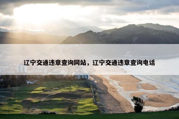 辽宁交通违章查询网站，辽宁交通违章查询电话