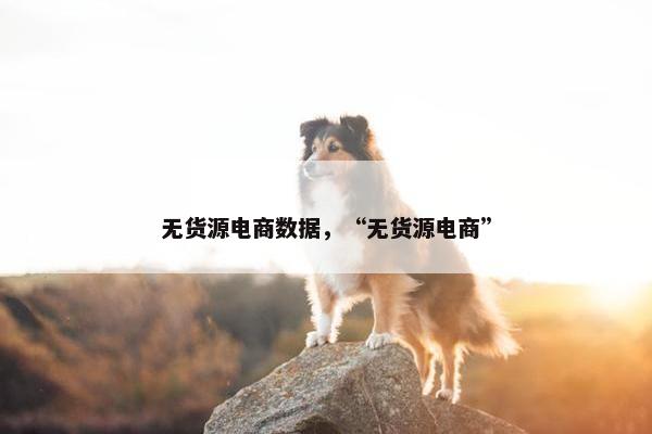 无货源电商数据，“无货源电商”