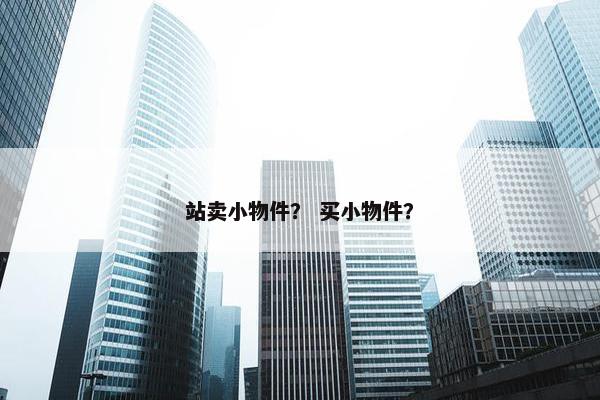 站卖小物件？ 买小物件？