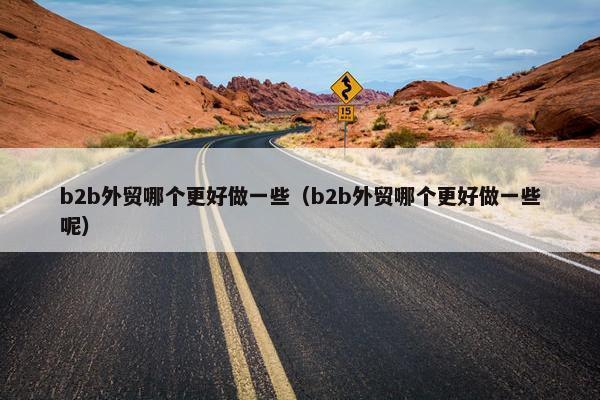 b2b外贸哪个更好做一些（b2b外贸哪个更好做一些呢）