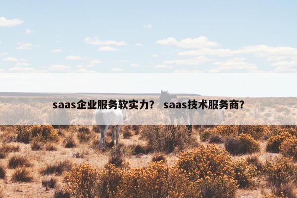 saas企业服务软实力？ saas技术服务商？