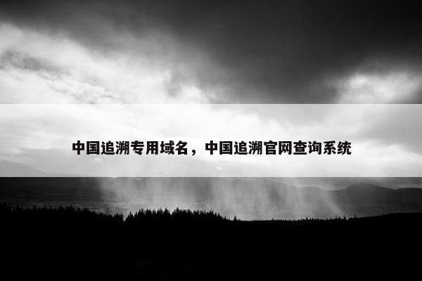 中国追溯专用域名，中国追溯官网查询系统