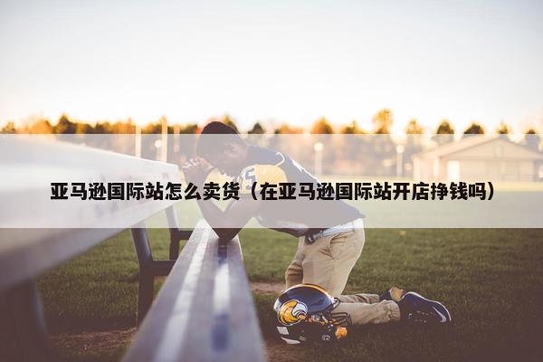 亚马逊国际站怎么卖货（在亚马逊国际站开店挣钱吗）