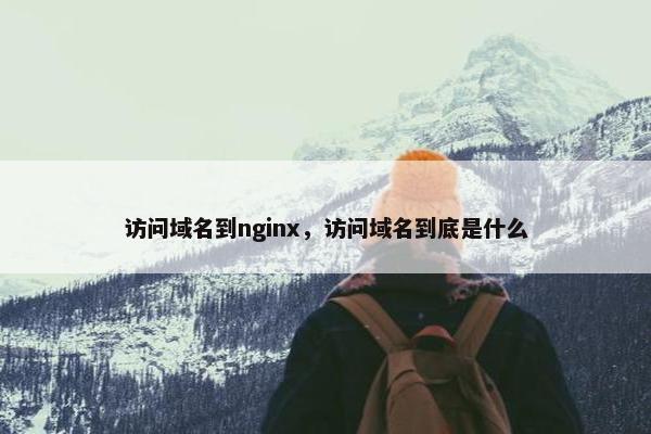 访问域名到nginx，访问域名到底是什么